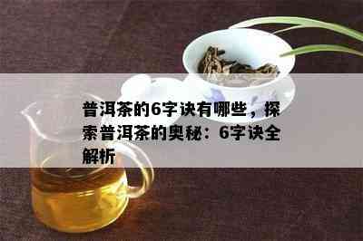 普洱茶的6字诀有哪些，探索普洱茶的奥秘：6字诀全解析