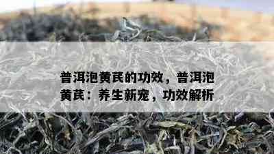 普洱泡黄芪的功效，普洱泡黄芪：养生新宠，功效解析