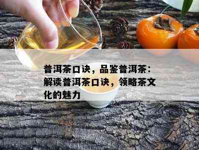 普洱茶口诀，品鉴普洱茶：解读普洱茶口诀，领略茶文化的魅力