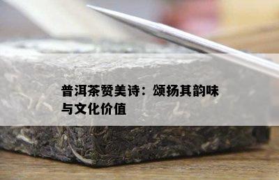 普洱茶赞美诗：颂扬其韵味与文化价值