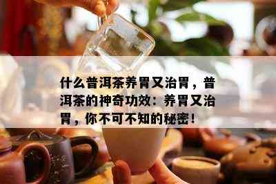 什么普洱茶养胃又治胃，普洱茶的神奇功效：养胃又治胃，你不可不知的秘密！