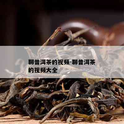 聊普洱茶的视频-聊普洱茶的视频大全