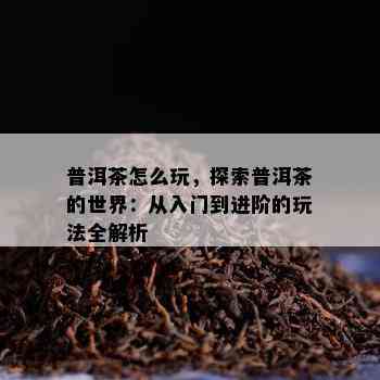 普洱茶怎么玩，探索普洱茶的世界：从入门到进阶的玩法全解析