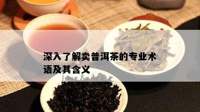 深入熟悉卖普洱茶的专业术语及其含义