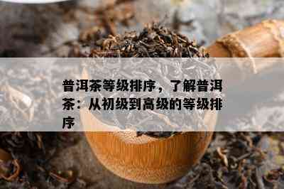 普洱茶等级排序，熟悉普洱茶：从初级到高级的等级排序