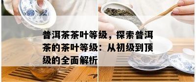 普洱茶茶叶等级，探索普洱茶的茶叶等级：从初级到顶级的全面解析