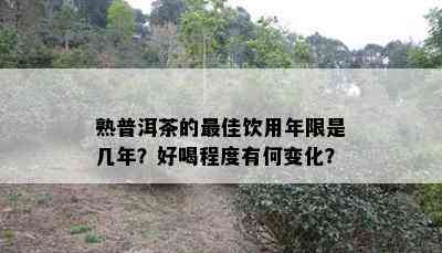 熟普洱茶的更佳饮用年限是几年？好喝程度有何变化？