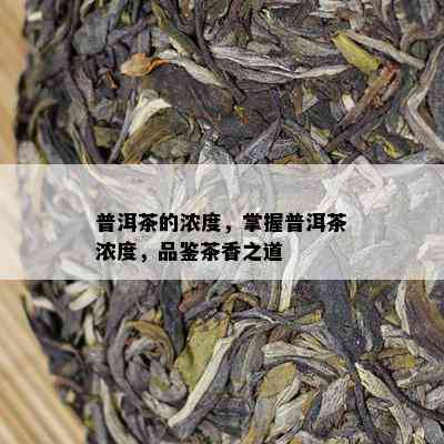 普洱茶的浓度，掌握普洱茶浓度，品鉴茶香之道