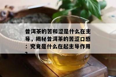 普洱茶的苦和涩是什么在主导，揭秘普洱茶的苦涩口感：究竟是什么在起主导作用？