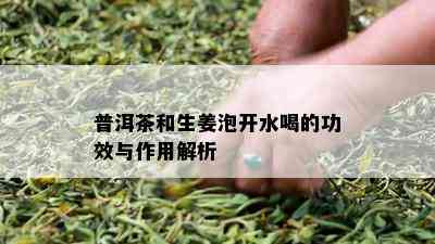 普洱茶和生姜泡开水喝的功效与作用解析