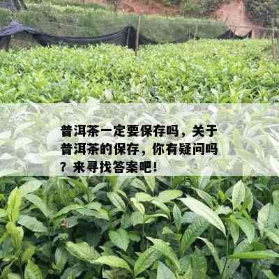 普洱茶一定要保存吗，关于普洱茶的保存，你有疑问吗？来寻找答案吧！