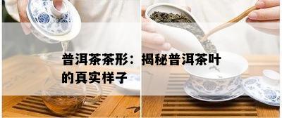 普洱茶茶形：揭秘普洱茶叶的真实样子