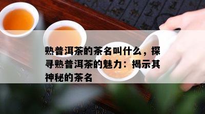 熟普洱茶的茶名叫什么，探寻熟普洱茶的魅力：揭示其神秘的茶名