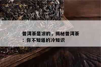 普洱茶是凉的，揭秘普洱茶：你不知道的冷知识