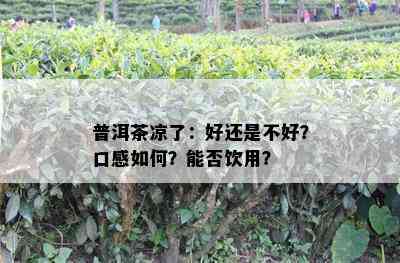 普洱茶凉了：好还是不好？口感怎样？能否饮用？