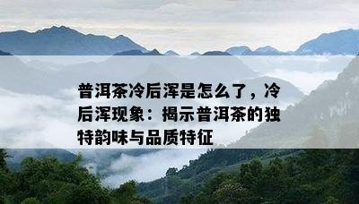 普洱茶冷后浑是怎么了，冷后浑现象：揭示普洱茶的特别韵味与品质特征