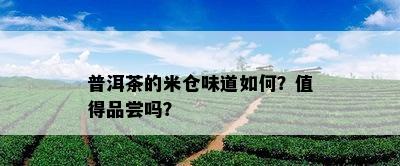 普洱茶的米仓味道怎样？值得品尝吗？