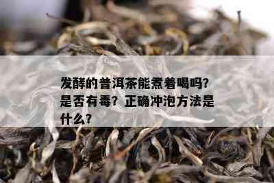 发酵的普洱茶能煮着喝吗？是不是有？正确冲泡方法是什么？