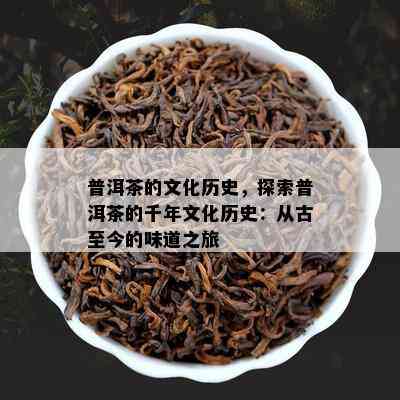 普洱茶的文化历史，探索普洱茶的千年文化历史：从古至今的味道之旅