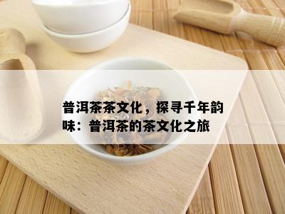 普洱茶茶文化，探寻千年韵味：普洱茶的茶文化之旅