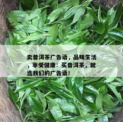 卖普洱茶广告语，品味生活，享受健康：买普洱茶，就选咱们的广告语！