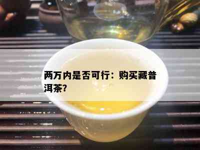 两万内是不是可行：购买藏普洱茶？