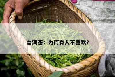 普洱茶：为何有人不喜欢？