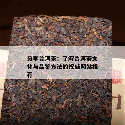 分享普洱茶：了解普洱茶文化与品鉴方法的权威网站推荐