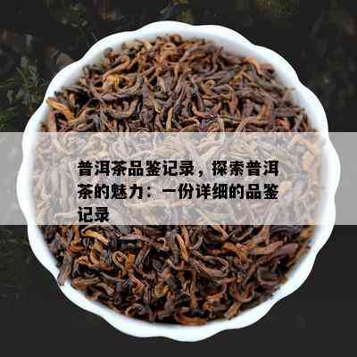 普洱茶品鉴记录，探索普洱茶的魅力：一份详细的品鉴记录