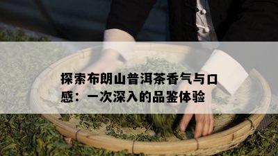 探索布朗山普洱茶香气与口感：一次深入的品鉴体验