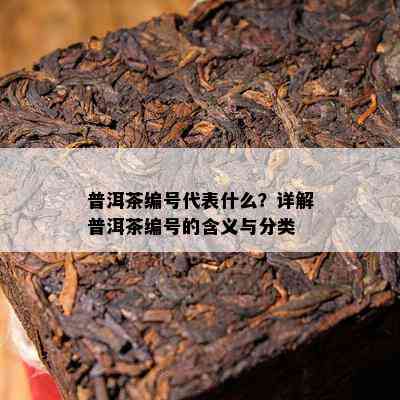 普洱茶编号代表什么？详解普洱茶编号的含义与分类