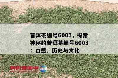 普洱茶编号6003，探索神秘的普洱茶编号6003：口感、历史与文化