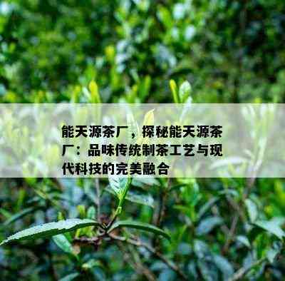 能天源茶厂，探秘能天源茶厂：品味传统制茶工艺与现代科技的完美融合