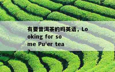 有要普洱茶的吗英语，Looking for some Pu'er tea?