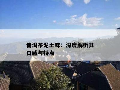 普洱茶泥土味：深度解析其口感与特点