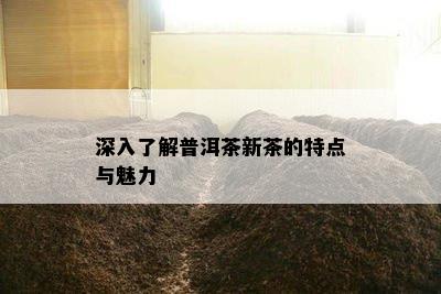 深入了解普洱茶新茶的特点与魅力