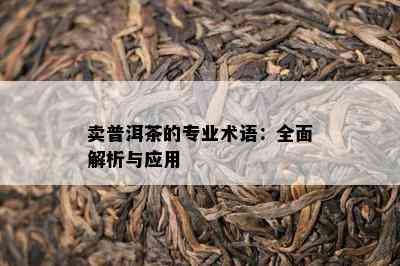 卖普洱茶的专业术语：全面解析与应用