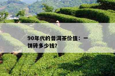 90年代的普洱茶价值：一饼砖多少钱？