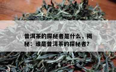 普洱茶的探秘者是什么，揭秘：谁是普洱茶的探秘者？