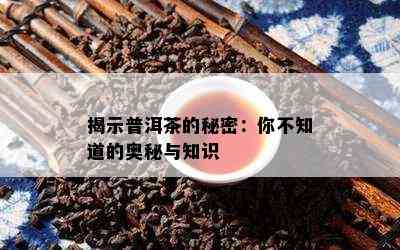 揭示普洱茶的秘密：你不知道的奥秘与知识