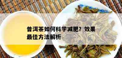 普洱茶如何科学减肥？效果更佳方法解析