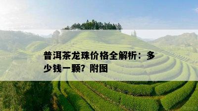 普洱茶龙珠价格全解析：多少钱一颗？附图