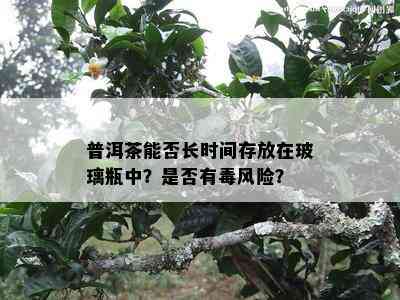 普洱茶能否长时间存放在玻璃瓶中？是不是有风险？