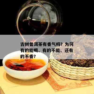 古树普洱茶有香气吗？为何有的能喝、有的不能、还有的不香？