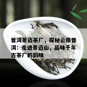 普洱景迈茶厂，探秘云南普洱：走进景迈山，品味千年古茶厂的韵味