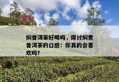 焖普洱茶好喝吗，探讨焖煮普洱茶的口感：你真的会喜欢吗？