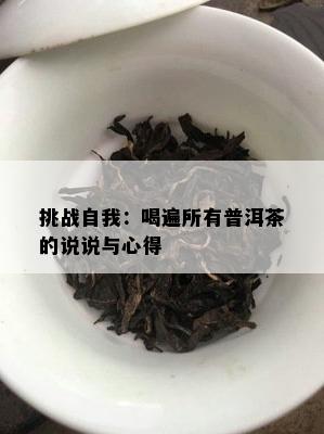 挑战自我：喝遍所有普洱茶的说说与心得