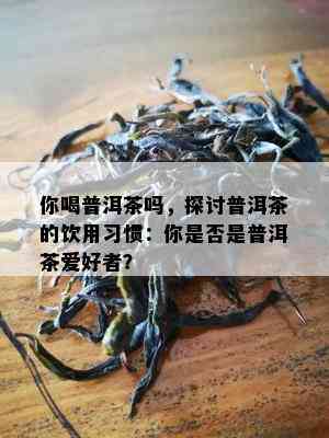 你喝普洱茶吗，探讨普洱茶的饮用习惯：你是否是普洱茶爱好者？