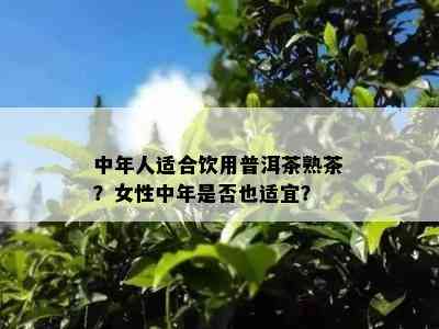 中年人适合饮用普洱茶熟茶？女性中年是不是也适宜？