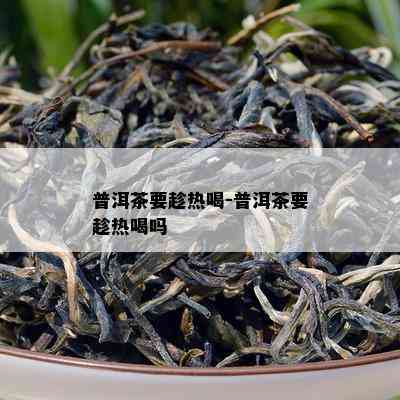 普洱茶要趁热喝-普洱茶要趁热喝吗